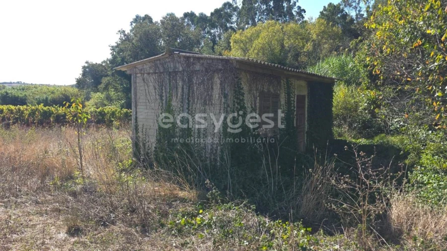 Terreno Agricola ou Rústico para Venda em Aldeia Galega da Merceana e Aldeia Gavinha Foto 11