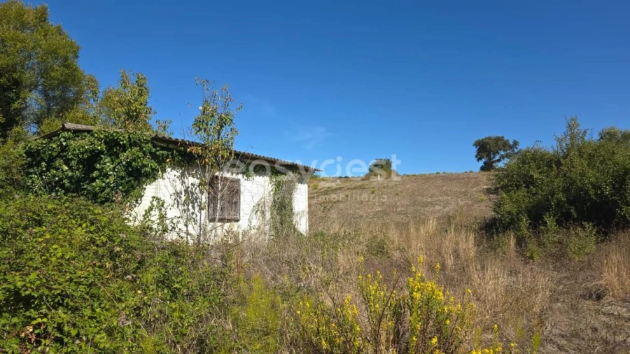 Terreno Agricola ou Rústico para Venda em Aldeia Galega da Merceana e Aldeia Gavinha Foto 13