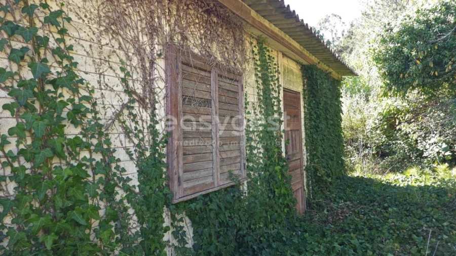 Terreno Agricola ou Rústico para Venda em Aldeia Galega da Merceana e Aldeia Gavinha Foto 15