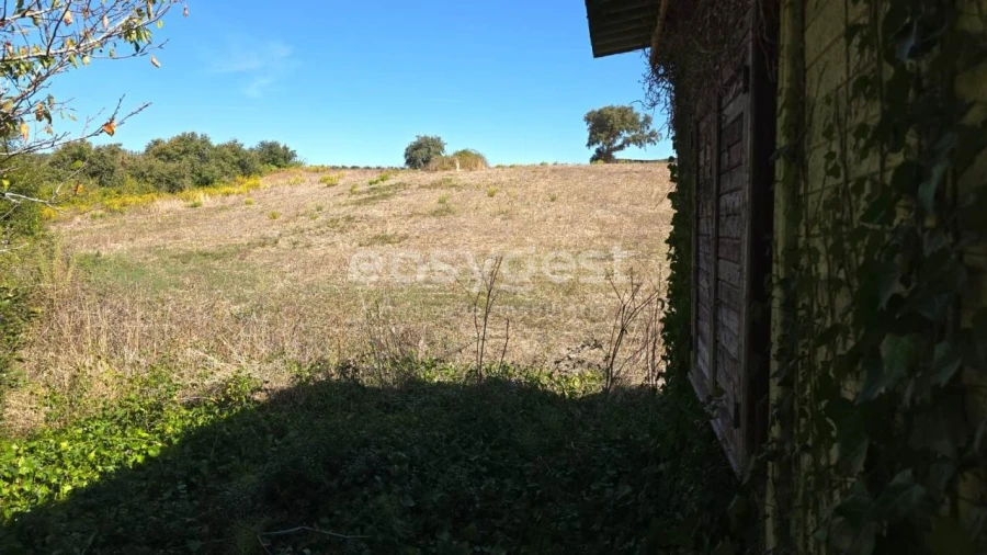 Terreno Agricola ou Rústico para Venda em Aldeia Galega da Merceana e Aldeia Gavinha Foto 26