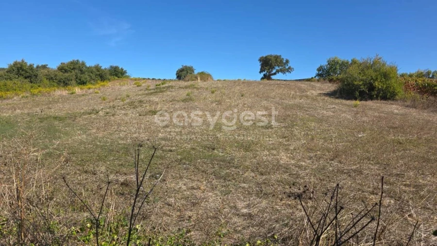 Terreno Agricola ou Rústico para Venda em Aldeia Galega da Merceana e Aldeia Gavinha Foto 28