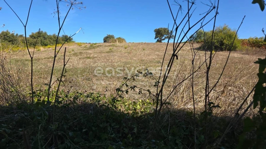 Terreno Agricola ou Rústico para Venda em Aldeia Galega da Merceana e Aldeia Gavinha Foto 29
