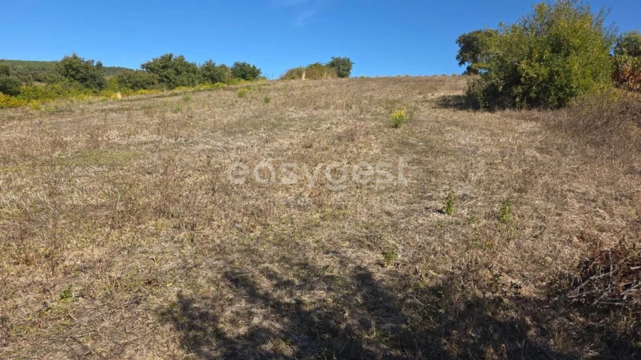 Terreno Agricola ou Rústico para Venda em Aldeia Galega da Merceana e Aldeia Gavinha Foto 31