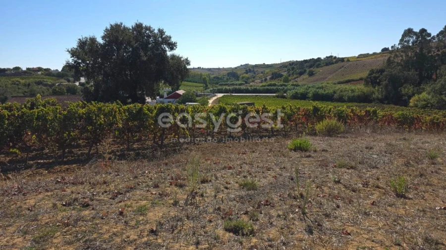 Terreno Agricola ou Rústico para Venda em Aldeia Galega da Merceana e Aldeia Gavinha Foto 33