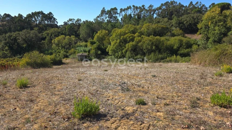 Terreno Agricola ou Rústico para Venda em Aldeia Galega da Merceana e Aldeia Gavinha Foto 34