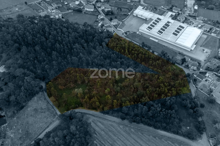 Terreno para Venda em Areias, Sequeirô, Lama e Palmeira Foto 5