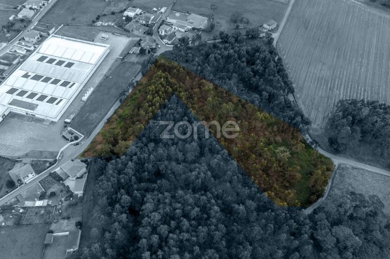 Terreno para Venda em Areias, Sequeirô, Lama e Palmeira Foto 6