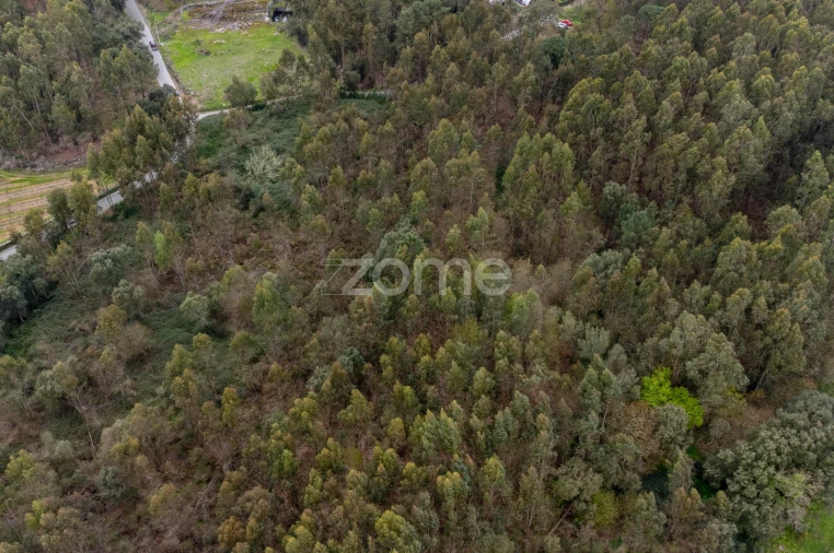Terreno para Venda em Areias, Sequeirô, Lama e Palmeira Foto 10