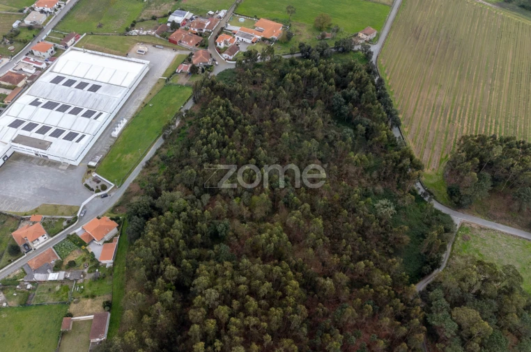 Terreno para Venda em Areias, Sequeirô, Lama e Palmeira Foto 1