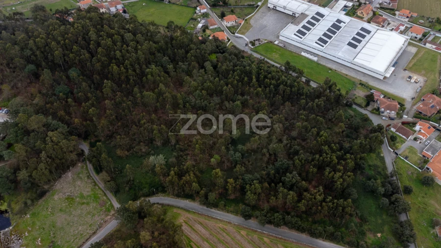 Terreno para Venda em Areias, Sequeirô, Lama e Palmeira