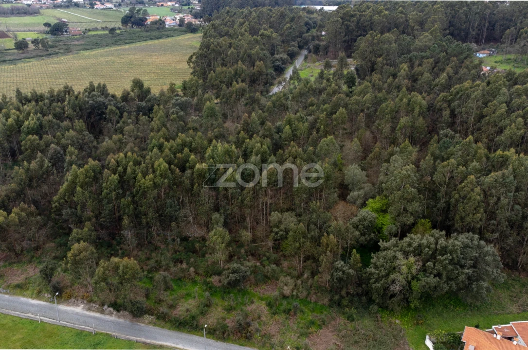 Terreno para Venda em Areias, Sequeirô, Lama e Palmeira Foto 7