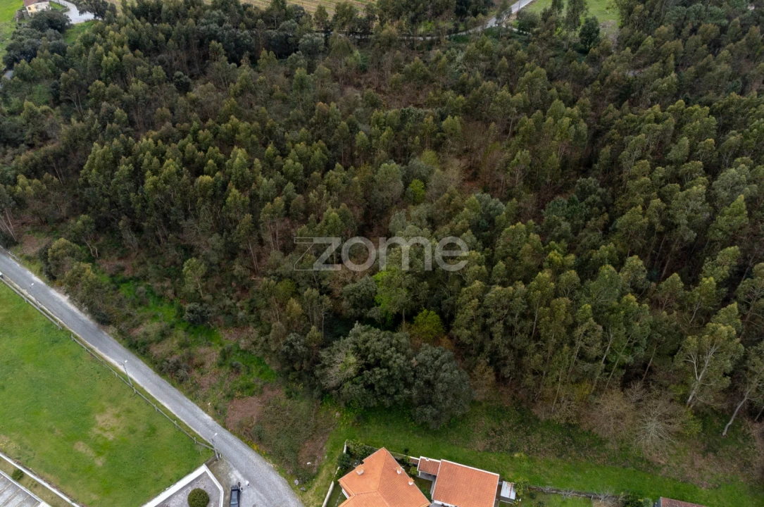 Terreno para Venda em Areias, Sequeirô, Lama e Palmeira Foto 8