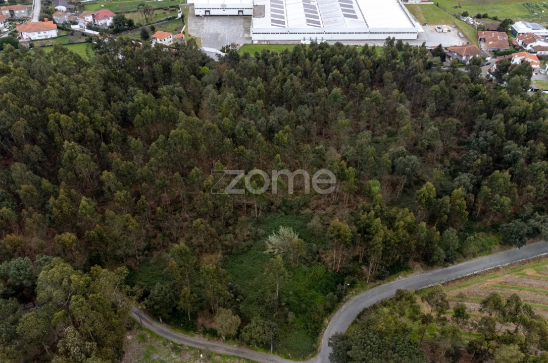 Terreno para Venda em Areias, Sequeirô, Lama e Palmeira Foto 9