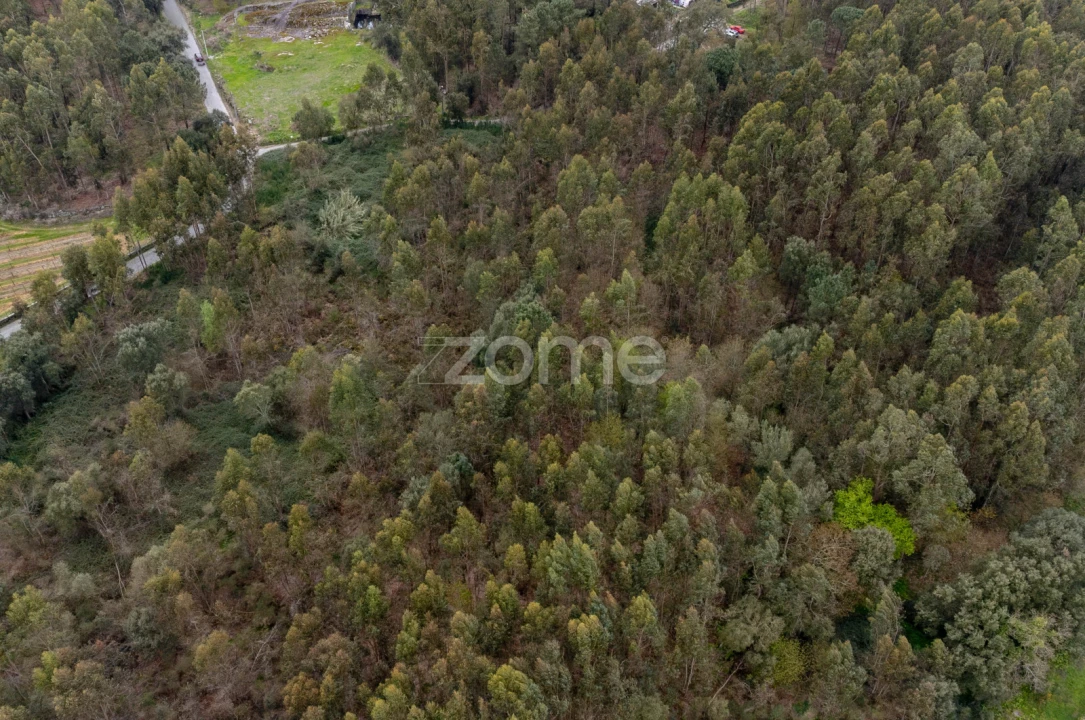 Terreno para Venda em Areias, Sequeirô, Lama e Palmeira Foto 10