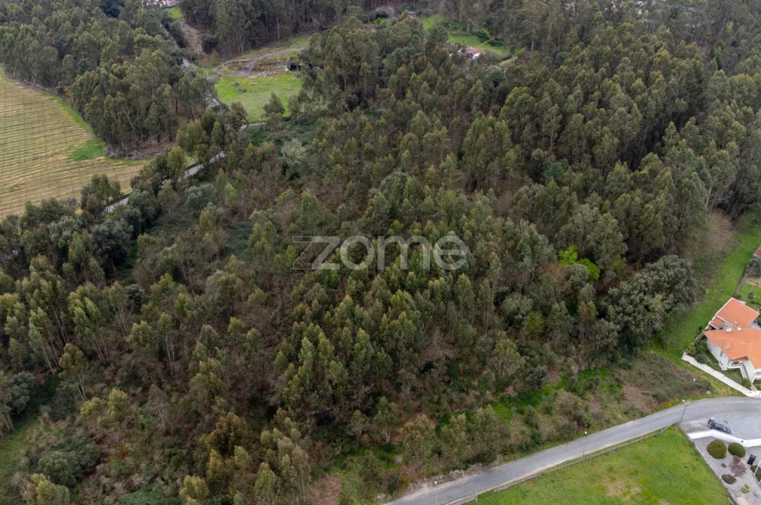 Terreno para Venda em Areias, Sequeirô, Lama e Palmeira Foto 11