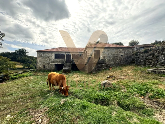 Quinta T3 para Venda em Bico e Cristelo Foto 22