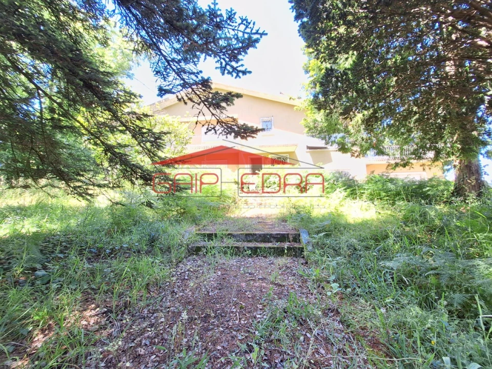 Moradia T6 para Venda em São João da Madeira Foto 10