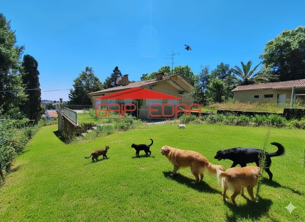 Moradia T6 para Venda em São João da Madeira Foto 7