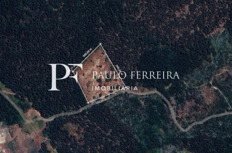 Terreno Agricola ou Rústico para Venda em Requião