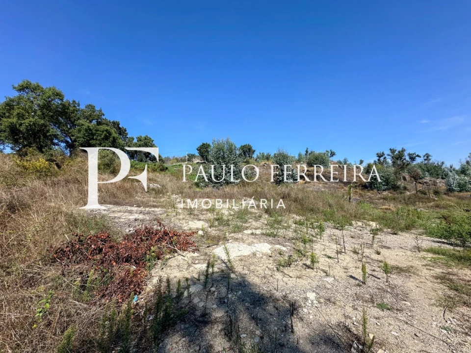 Terreno para Venda em Requião Foto 5