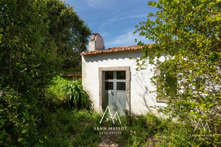 Loja para Venda em Santa Maria e São Miguel, São Martinho, São Pedro Penaferrim Foto 42
