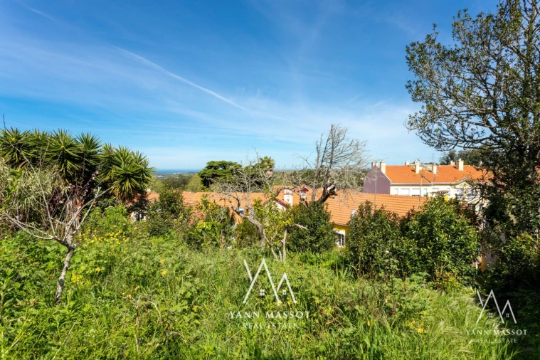 Loja para Venda em Santa Maria e São Miguel, São Martinho, São Pedro Penaferrim Foto 40