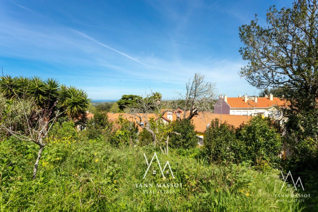 Loja para Venda em Santa Maria e São Miguel, São Martinho, São Pedro Penaferrim Foto 40
