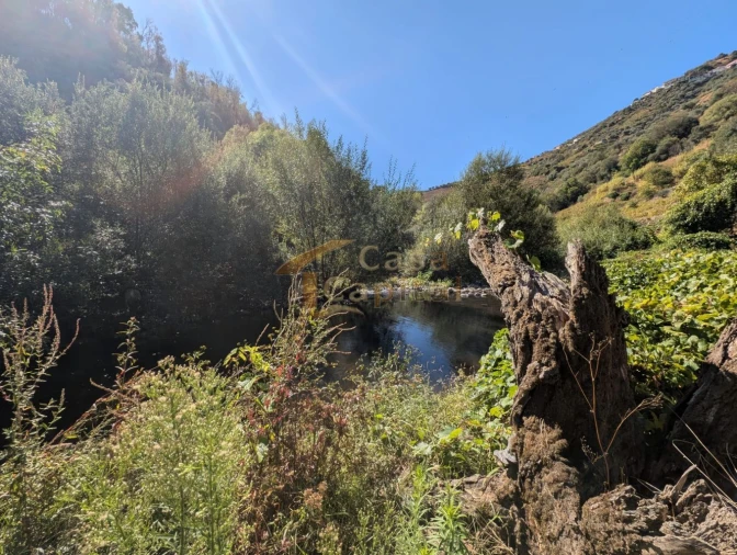 Quinta T0 para Venda em Alvações do Corgo Foto 4