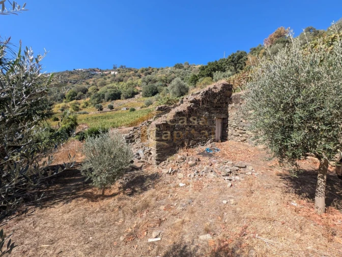 Quinta T0 para Venda em Alvações do Corgo Foto 2