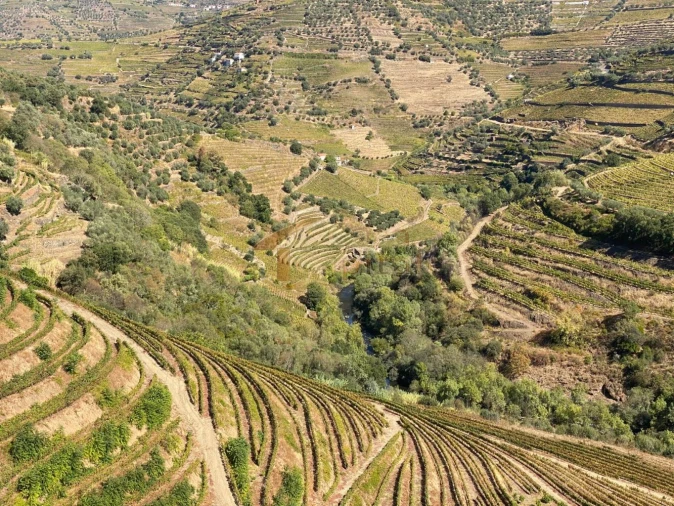 Quinta T0 para Venda em Alvações do Corgo