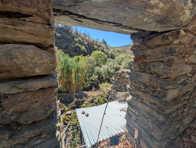 Quinta T0 para Venda em Alvações do Corgo Foto 7