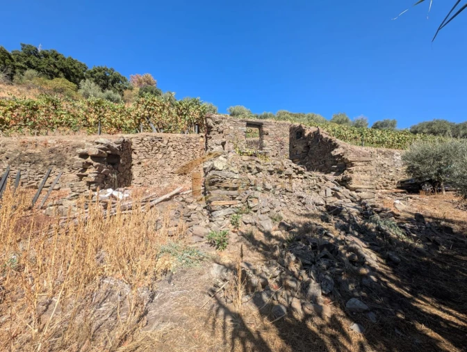 Quinta T0 para Venda em Alvações do Corgo Foto 3