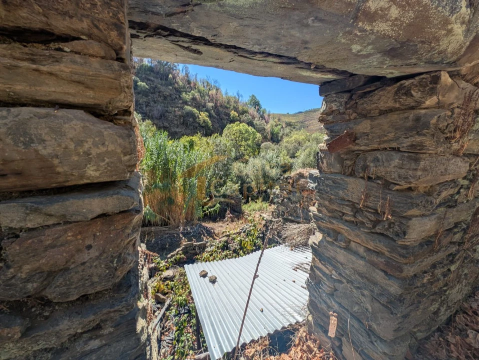 Quinta T0 para Venda em Alvações do Corgo Foto 7