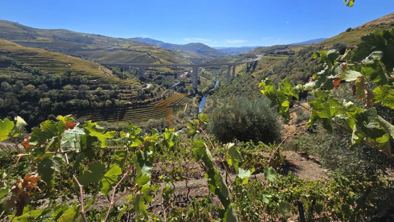 Quinta T0 para Venda em Lobrigos (São Miguel e São João Baptista) e Sanhoane Foto 12