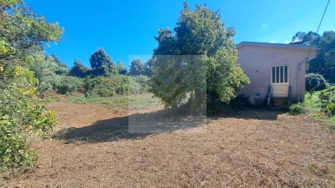 Terreno para Venda em São João de Ver
