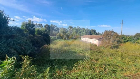 Terreno para Venda em São João de Ver