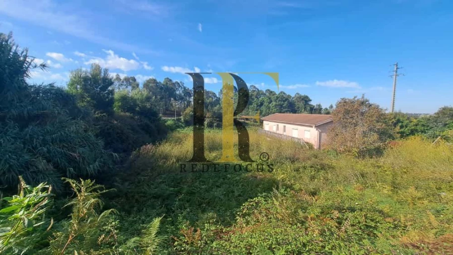Terreno para Venda em São João de Ver Foto 6