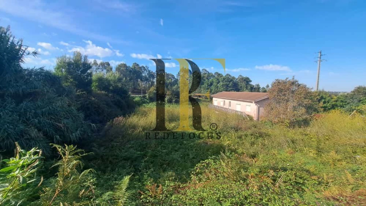 Terreno para Venda em São João de Ver Foto 6