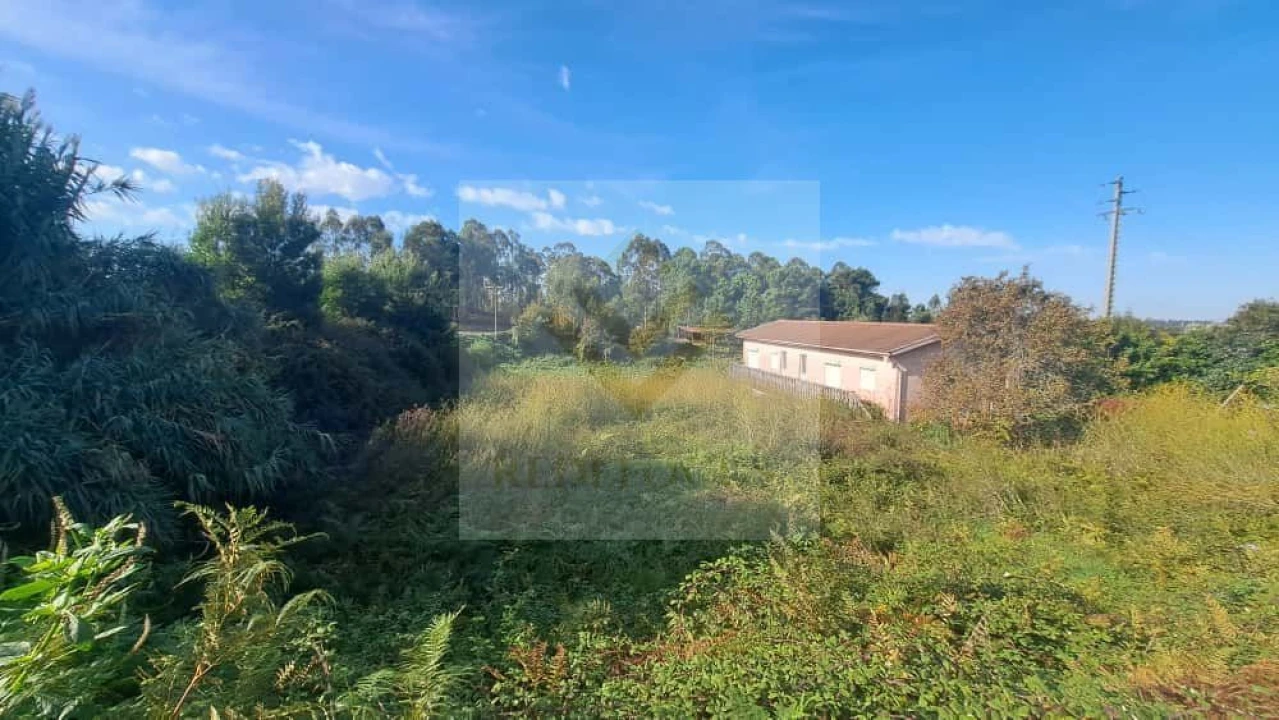 Terreno para Venda em São João de Ver Foto 6