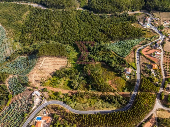 Terreno para Venda em Painho e Figueiros Foto 19