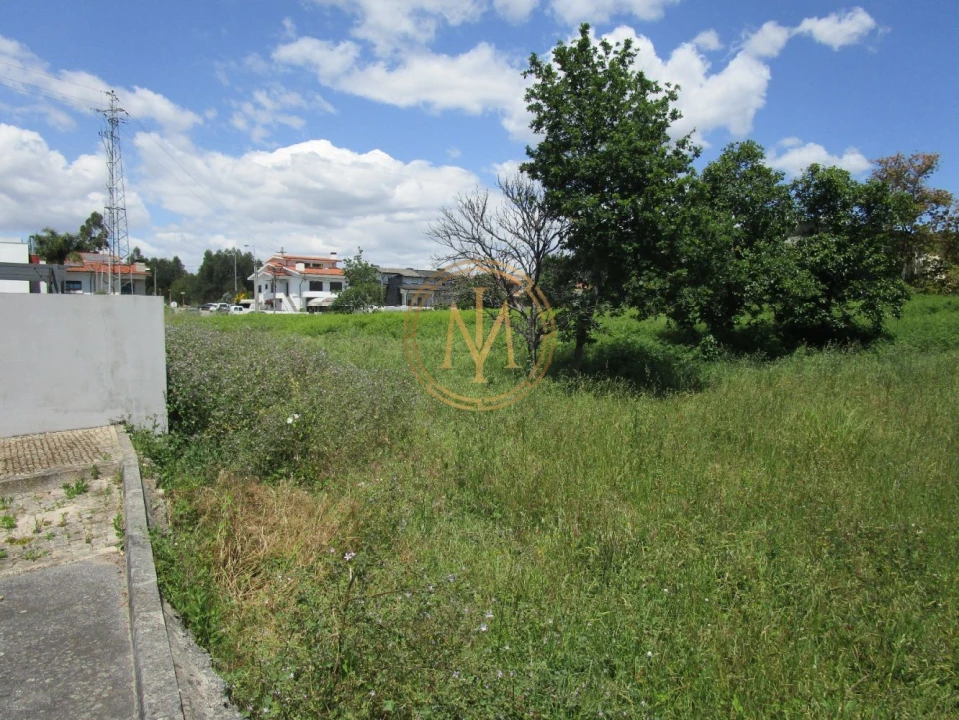 Terreno para Venda em Nogueira e Silva Escura Foto 4