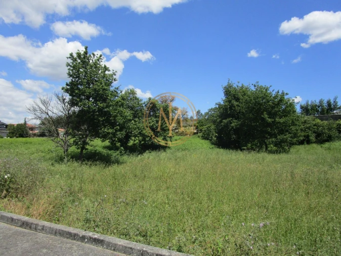 Terreno para Venda em Nogueira e Silva Escura Foto 3