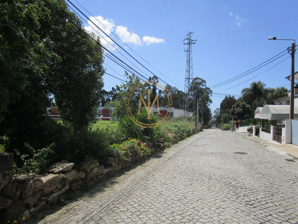 Terreno para Venda em Nogueira e Silva Escura Foto 12