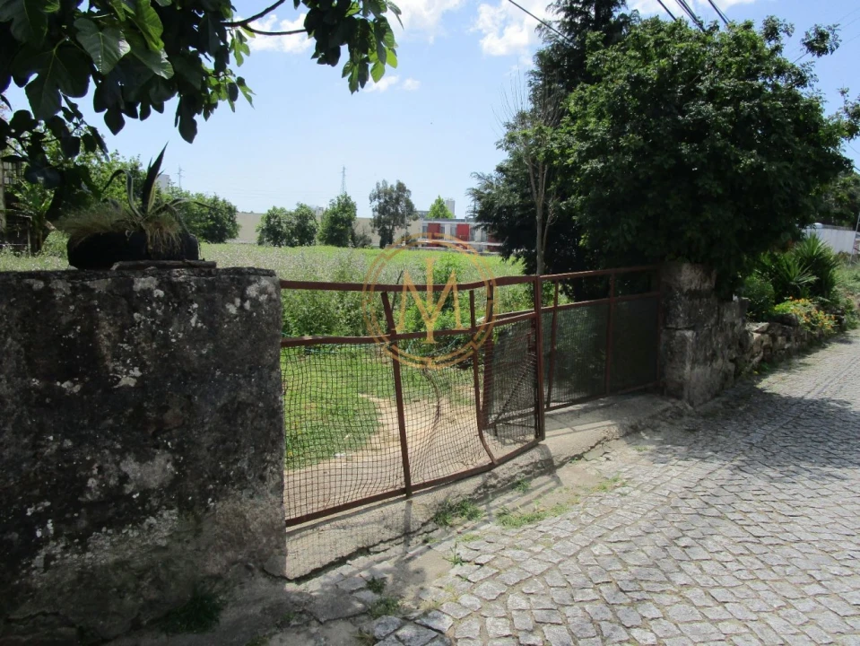 Terreno para Venda em Nogueira e Silva Escura Foto 5