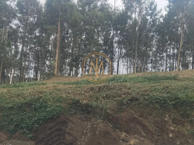 Terreno para Venda em Sandim, Olival, Lever e Crestuma Foto 4