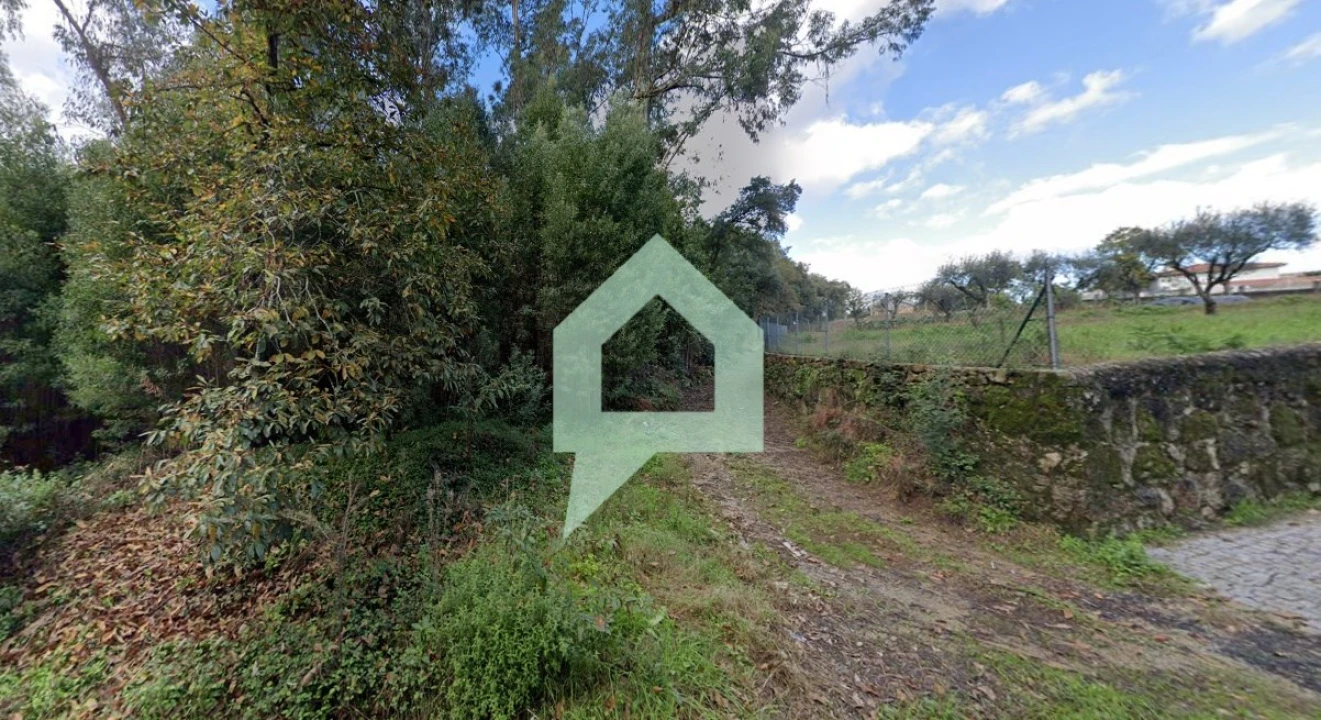 Terreno para Venda em Alvito (São Pedro e São Martinho) e Couto Foto 2