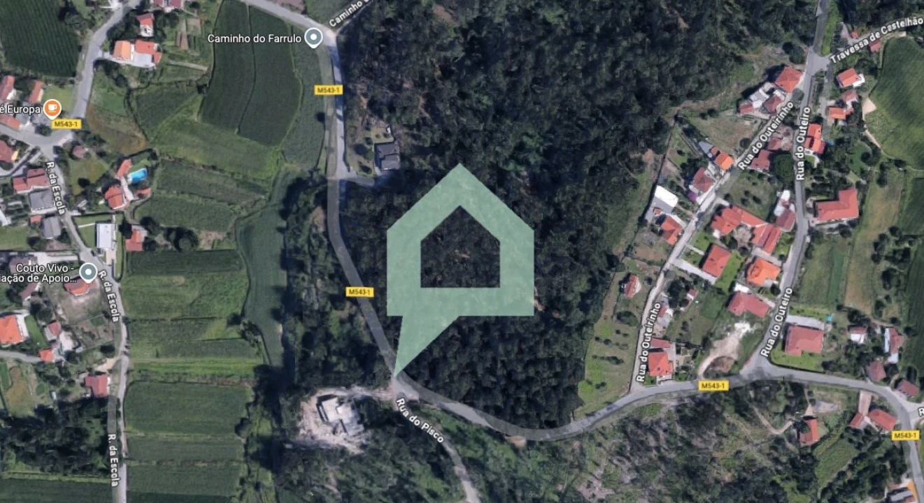 Terreno para Venda em Alvito (São Pedro e São Martinho) e Couto Foto 3