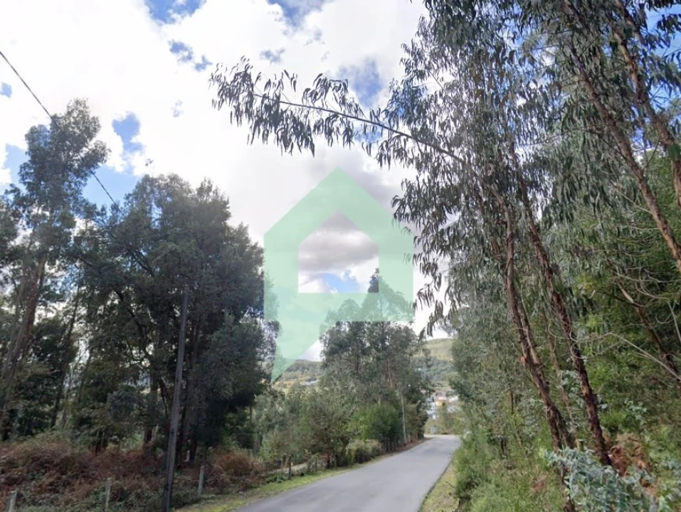 Terreno para Venda em Alvito (São Pedro e São Martinho) e Couto Foto 4