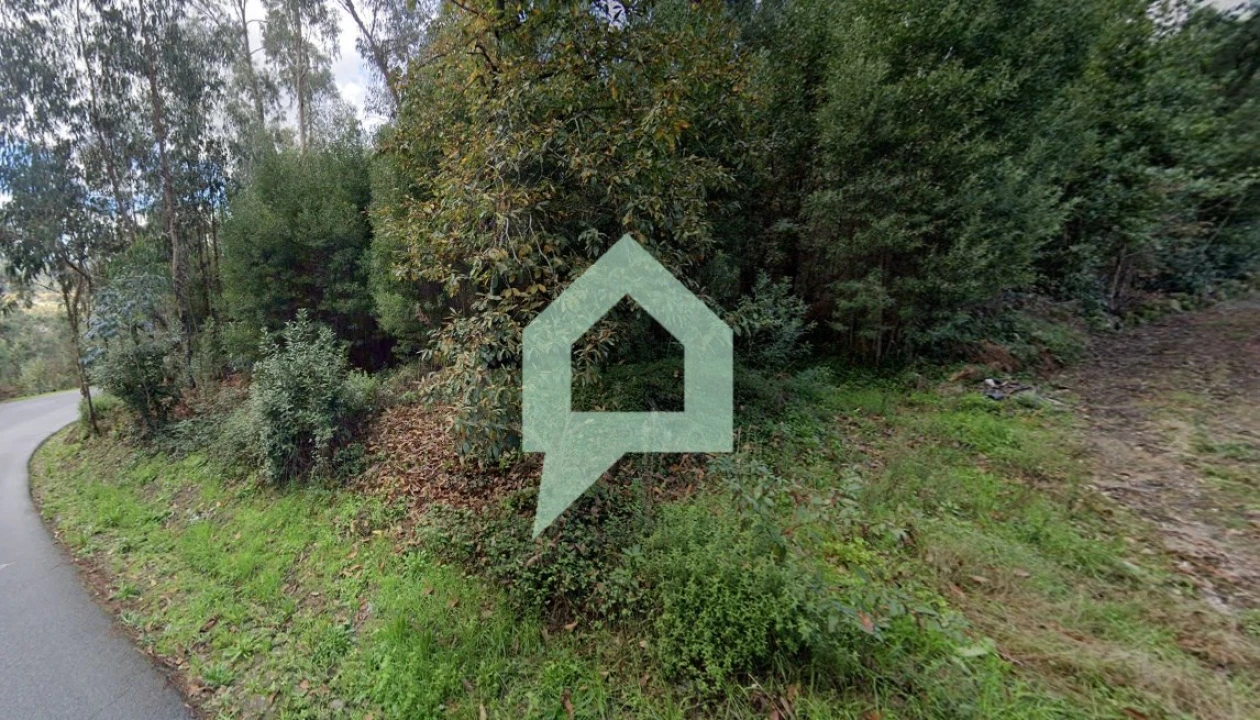 Terreno para Venda em Alvito (São Pedro e São Martinho) e Couto Foto 5