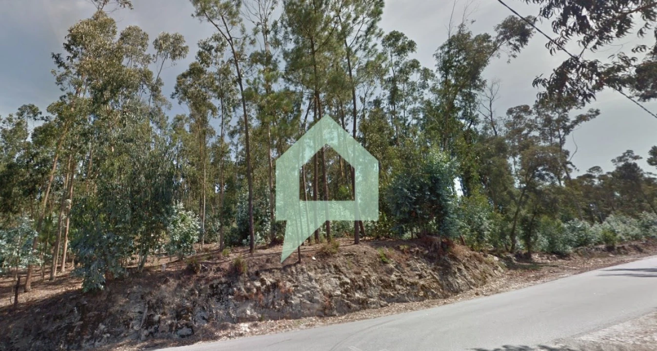 Terreno para Venda em Alvito (São Pedro e São Martinho) e Couto Foto 8